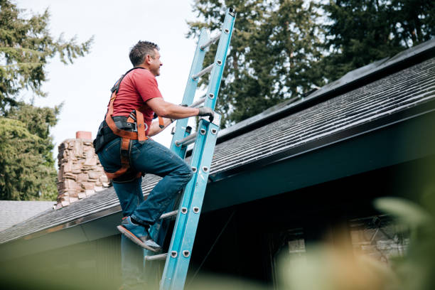 Roof Insulation in The Pinery, CO